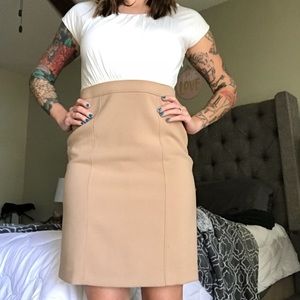 Dual color Business Style Dress